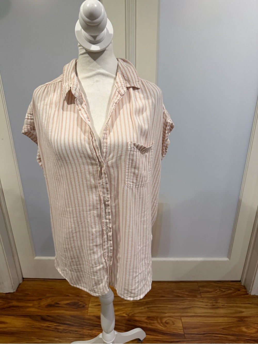 American Eagle Outfitters Blush and White Striped Button-Down Shirt